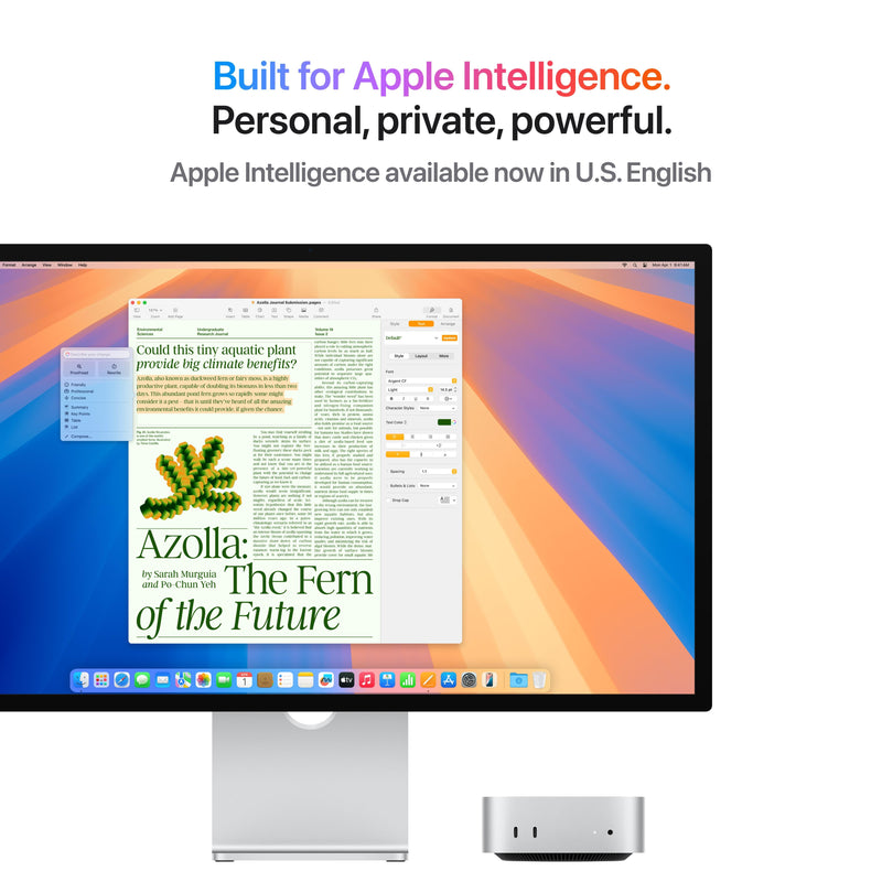 Apple Mac Mini M4 Chip with 10-core CPU and 10-core GPU 16GB Unified Memory + 256GB SSD Wi-Fi + Ethernet (Silver) (MU9D3ZP/A)