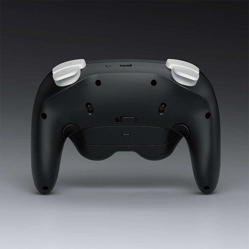 NYXI Warrior Bluetooth Controller for NGC/Nintendo Switch/Wii/Windows