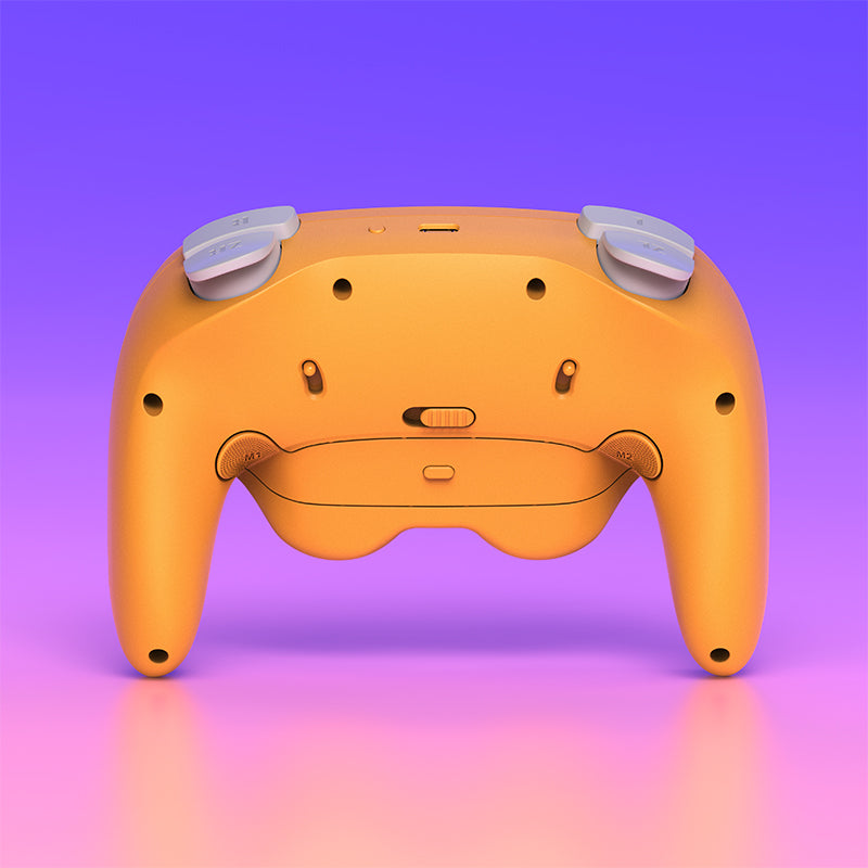 NYXI Warrior Bluetooth Controller for NGC/Nintendo Switch/Wii/Windows
