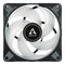 Arctic P12 PWM PST RGB 0dB Semi-Passive 120mm Single Fan with RGB