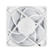Arctic P12 Pro A-RGB 3-Pack 120mm PWM Fan with Cable Splitter (Black, White)