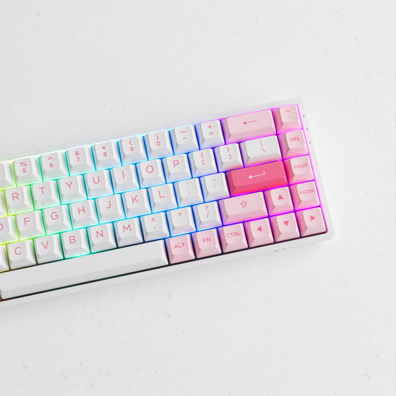 Akko Prunus Lannesiana 3068B Plus Multi-Modes RGB Mechanical Keyboard (Akko CS Jelly Purple)