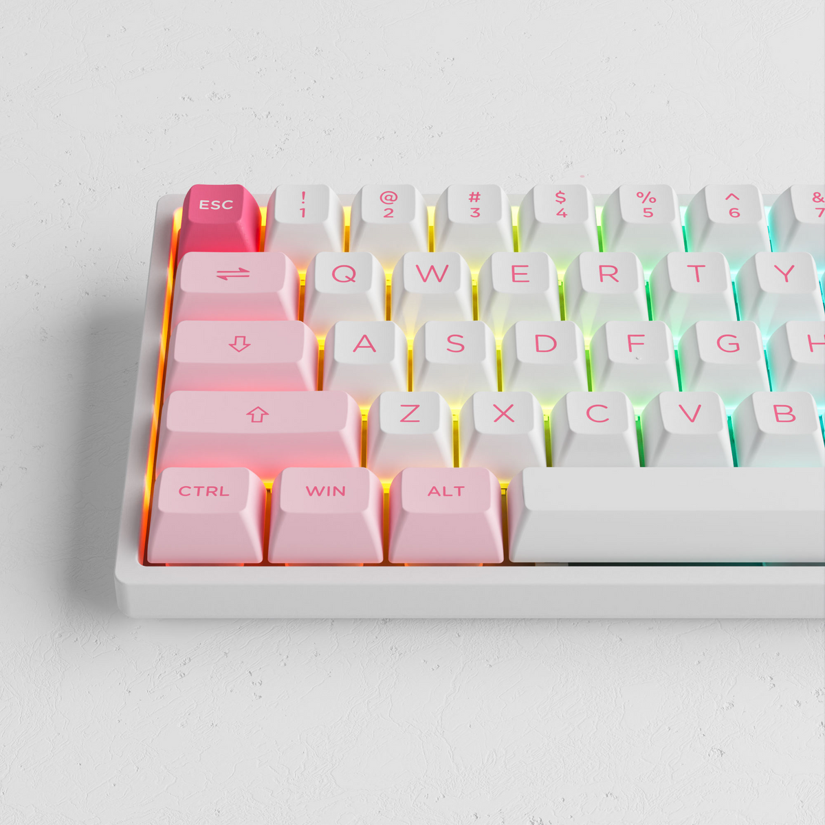 Akko Prunus Lannesiana 3068B Plus Multi-Modes RGB Mechanical Keyboard (Akko CS Jelly Purple)
