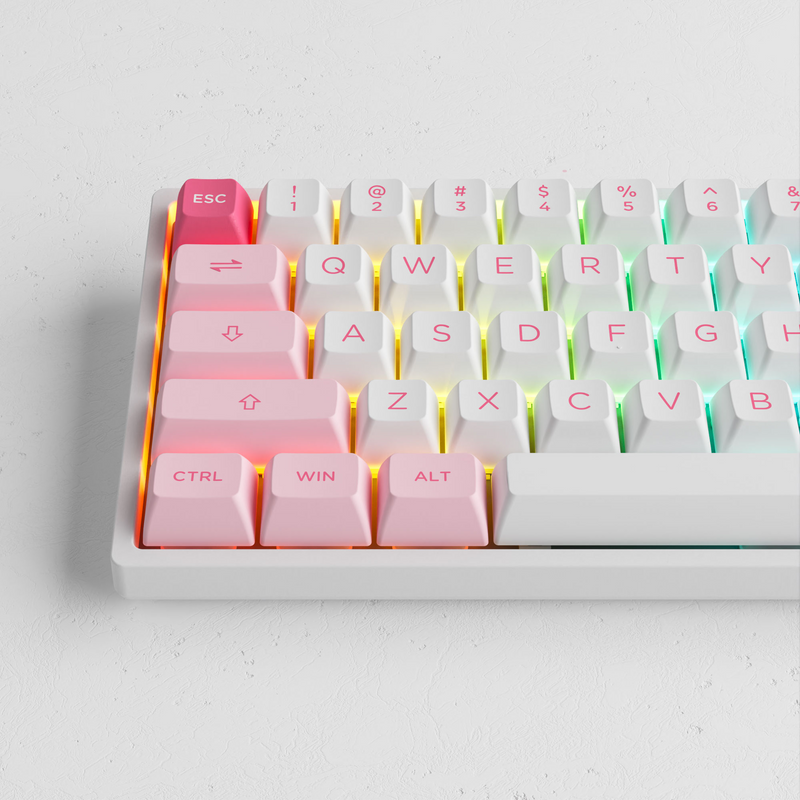 Akko Prunus Lannesiana 3068B Plus Multi-Modes RGB Mechanical Keyboard (Akko CS Jelly Purple)