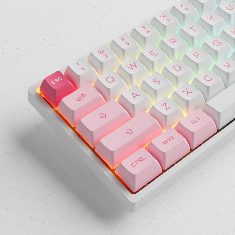 Akko Prunus Lannesiana 3068B Plus Multi-Modes RGB Mechanical Keyboard (Akko CS Jelly Purple)