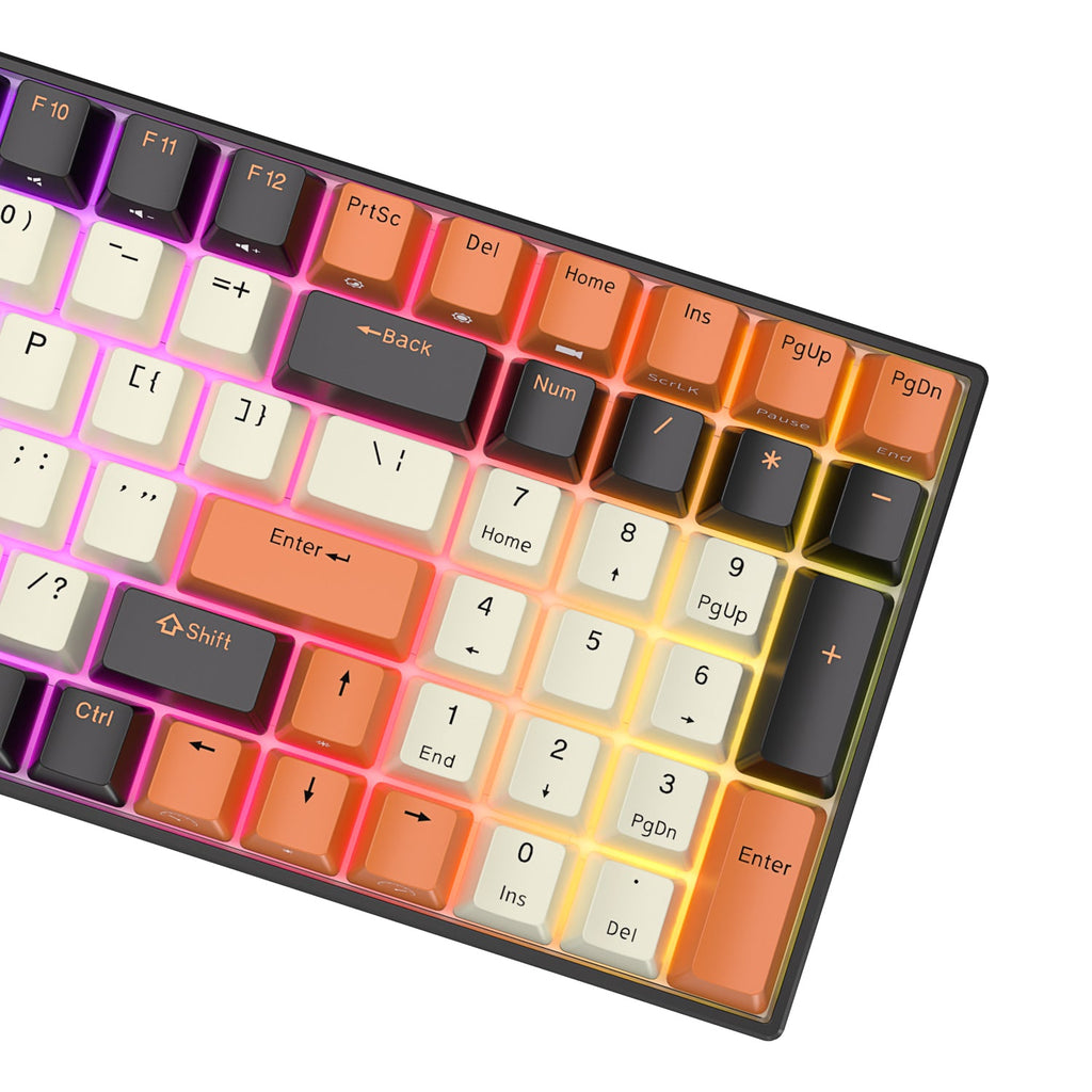 Royal Kludge RK100 Tri-Mode RGB 100-Keys Hot Swappable Mechanical ...