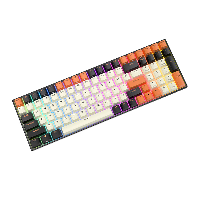 Royal Kludge RK100 Tri-Mode RGB 100-Keys Hot Swappable Mechanical Keyboard (Black Orange)