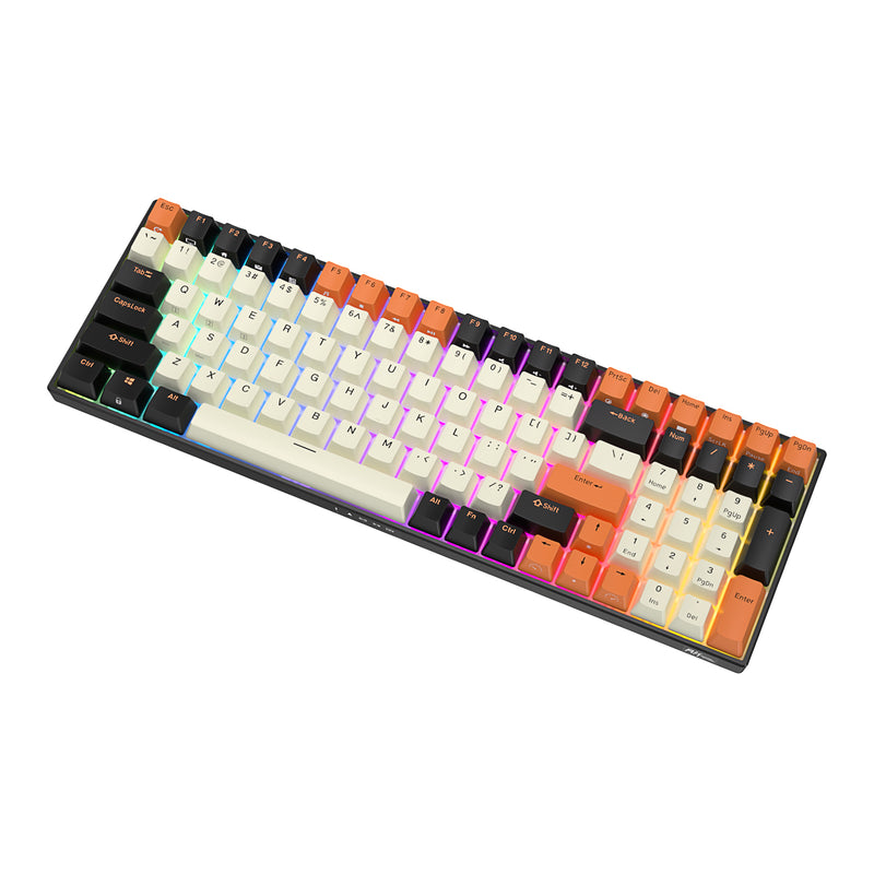 Royal Kludge RK100 Tri-Mode RGB 100-Keys Hot Swappable Mechanical Keyboard (Black Orange)