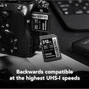 Lexar Professional SILVER PRO SDXC UHS-II C10 U3 V60 280MB/s Read 160MB/s Write SD Card