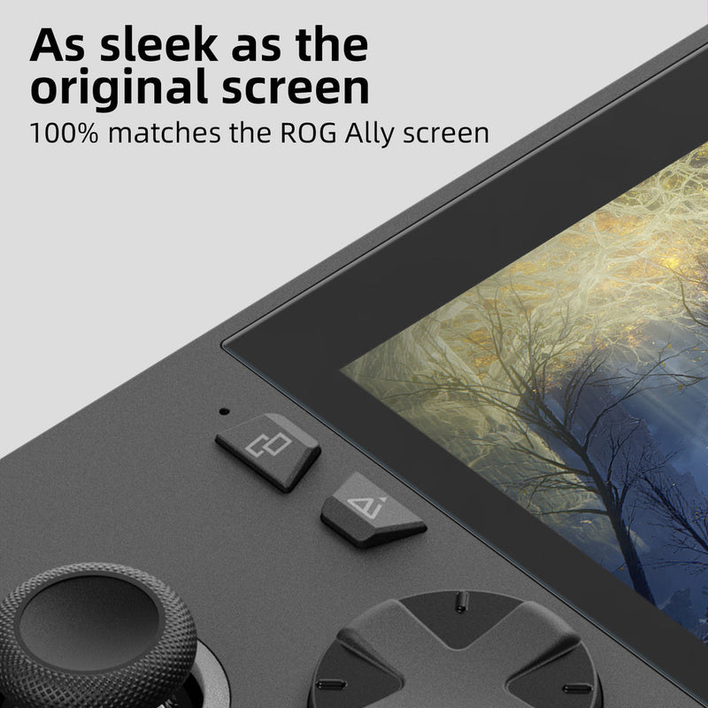 Skull & Co. Tempered Glass Screen Protector 9H Hardness / 2.5D Curved Edge Anti-Glare Matte Finish with Positioner for ROG Ally X (ALSP2-P-M)