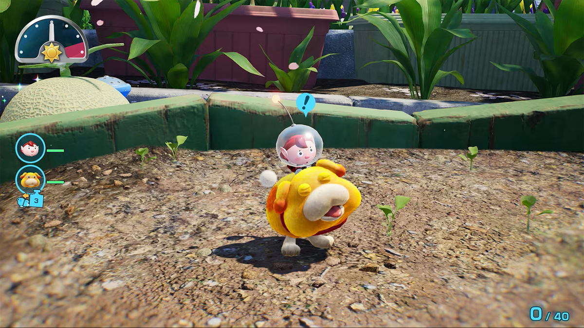 Pikmin 4 + Dandori Academy