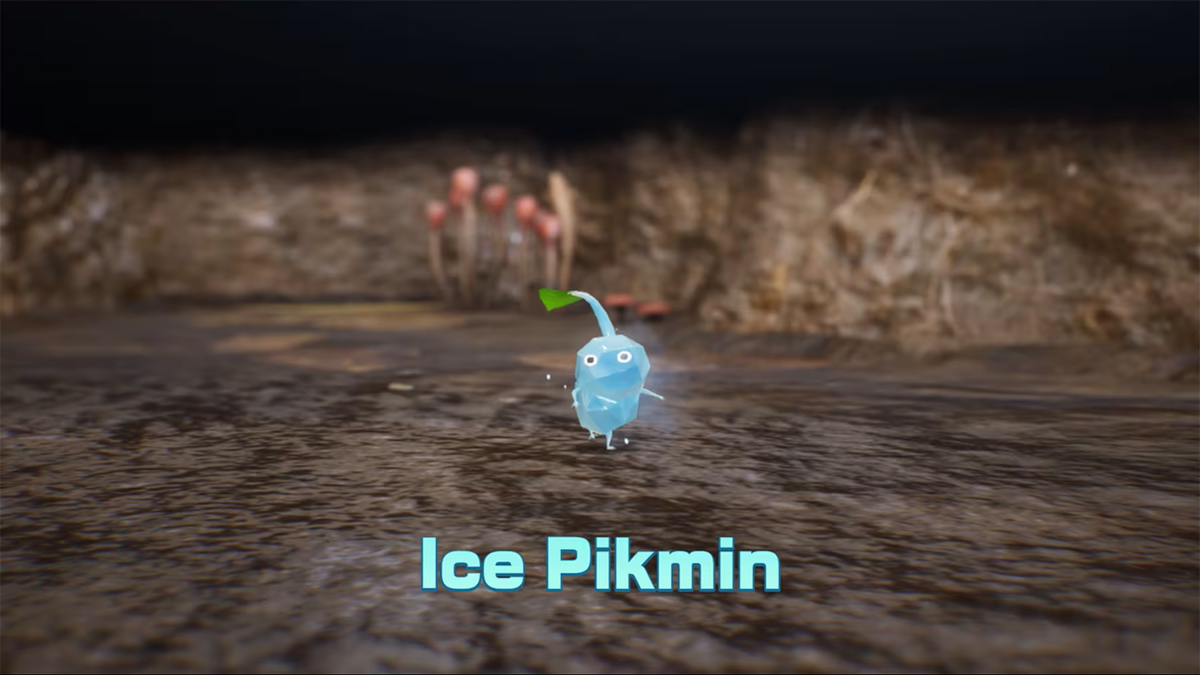 Pikmin 4 + Dandori Academy