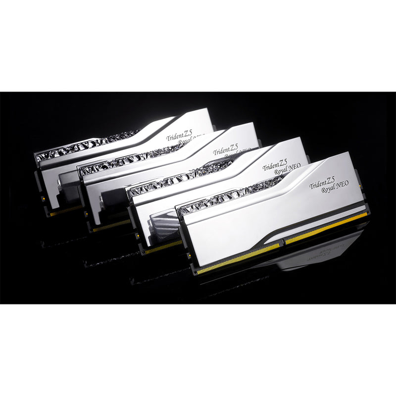 G.Skill Trident Z5 Royal Neo DDR5 96GB (2x48GB) 6000 MT/s CL28-36-36-96 1.35V AMD EXPO Desktop Memory (Silver) (F5-6000J2836F48GX2-TR5NS)