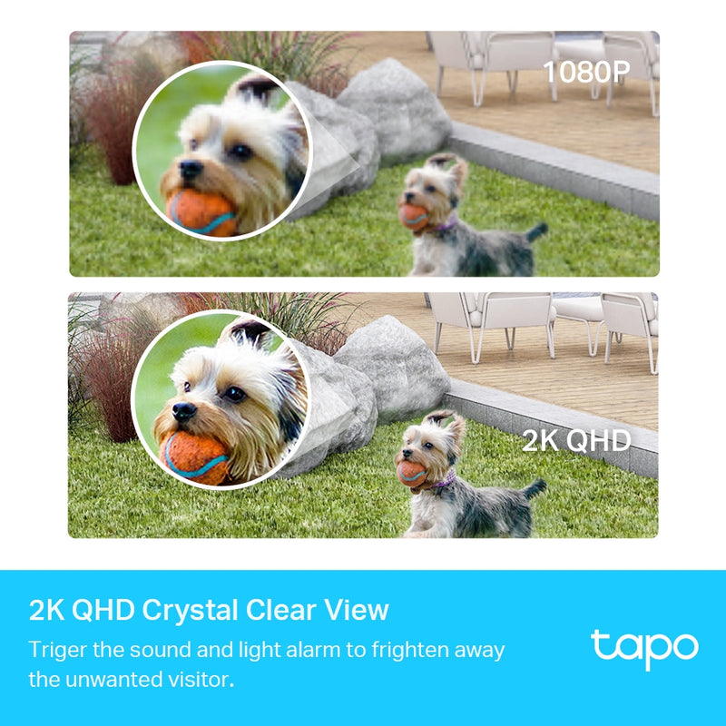TP-Link Tapo 2K QHD Security Camera Outdoor Wired, Starlight Sensor for  Color Night Vision, Free AI Detection, Works with Alexa & Google Home,  Built-in Siren, Cloud/SD Card Storage (Tapo C320WS) 2K w/