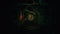 PS5 The Sinking Forest Pre-Order Downpayment