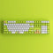 Akko Cabbage Dog 5108B Plus Multi-Mode RGB Hot-Swappable Mechanical Keyboard | DataBlitz