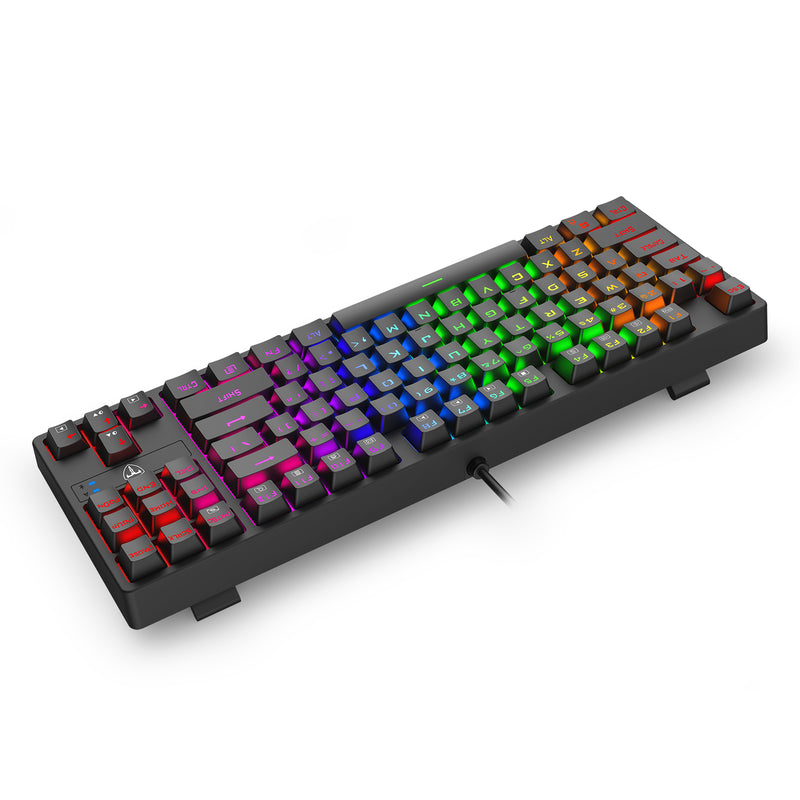 T-Dagger Vex 87 TKL RGB Wired Mechanical Gaming Keyboard (T-TGK332-BL)