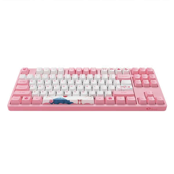Akko World Tour Tokyo R1 3087 V2 Mechanical Keyboard (Gateron Orange-Lubed)