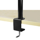 Arctic Z1 Basic Desk Mount Monitor Arm (AEMNT00039A)