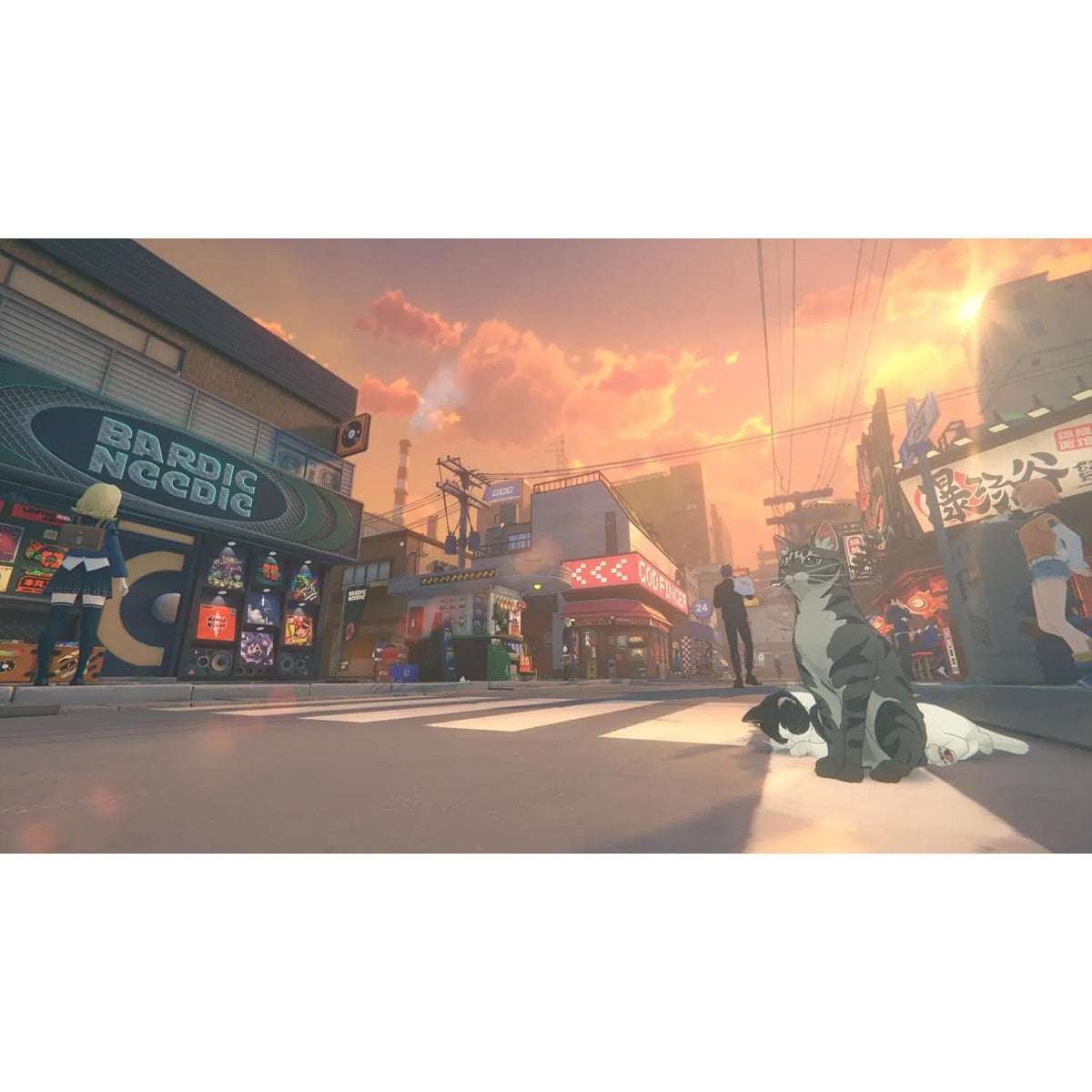 Zenless Zone Zero Collector Edition