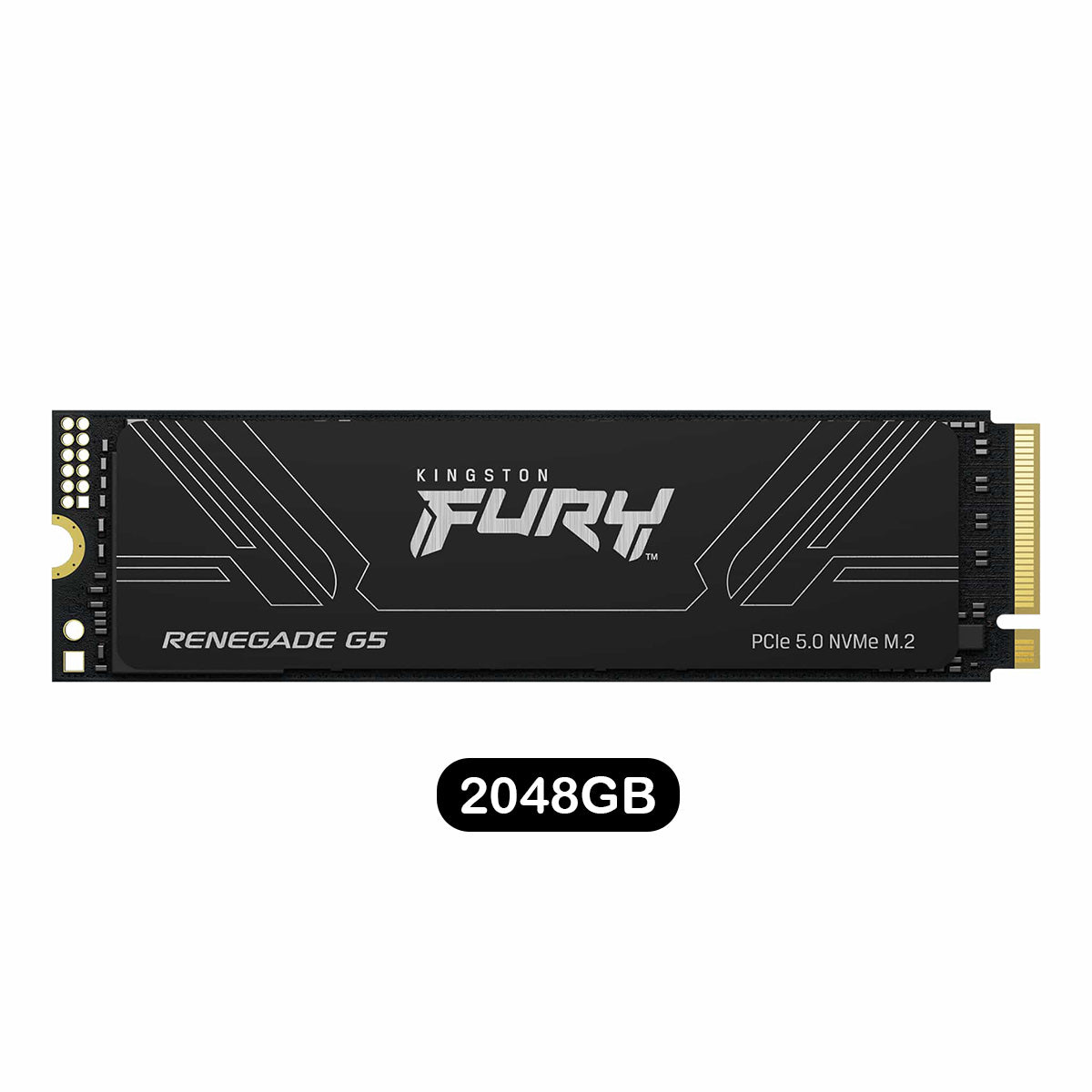Kingston Fury Renegade G5 PCIe Gen5 NVMe M.2 2280 SSD | DataBlitz