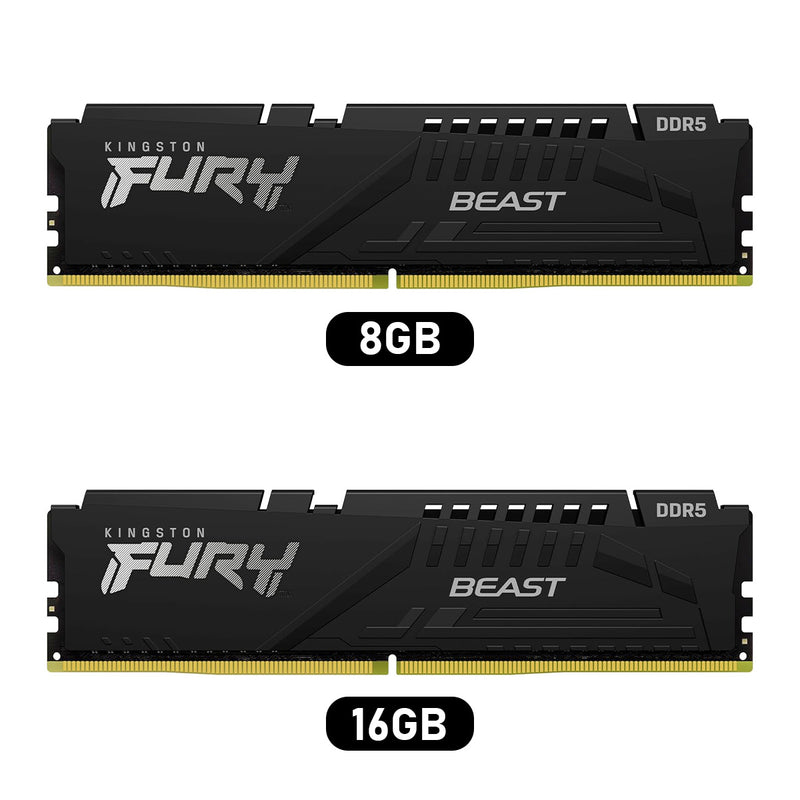 Kingston Fury Beast DDR5 5600MT/s CL36-38-38 1.25V EXPO/XMP Desktop Memory 