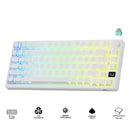 Royal Kludge RK-M75 HE RGB 81 Keys Hot-Swappable Mechanical Keyboard Frame Aurora (Mint Switch)