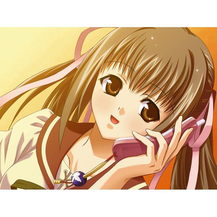 Nintendo Switch Akai Ito & Aoi Shiro HD Remaster Special Edition (JAP)