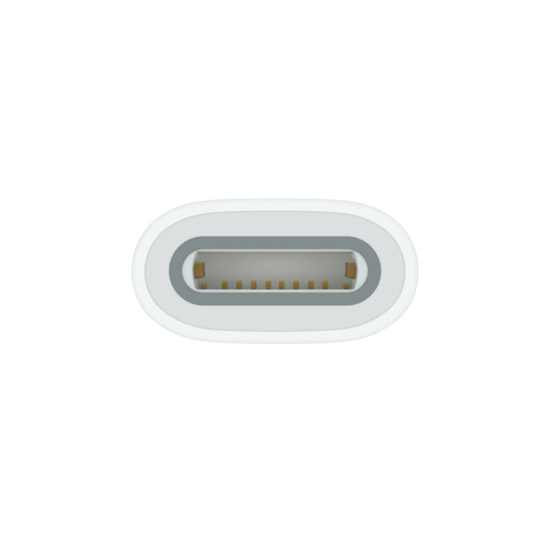 Apple USB-C To Apple Pencil Adapter (MQLU3ZA/A)