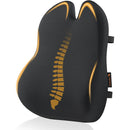 ProtoArc LP Butterfly Ergonomic Lumbar Pillow (Black) (CP016453)