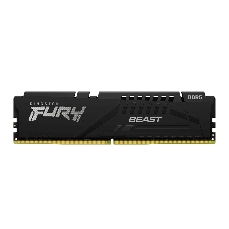 Kingston Fury Beast DDR5 5600MT/s CL36-38-38 1.25V EXPO/XMP Desktop Memory