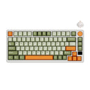 Royal Kludge RK-M75 Tri-Mode RGB 81 Keys Hot-Swappable