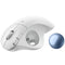 Logitech Ergo M575S Wireless Trackball Mouse (Black, White)