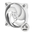 Arctic BioniX P120 120mm PWM Fan with Cable Splitter (Grey/White)