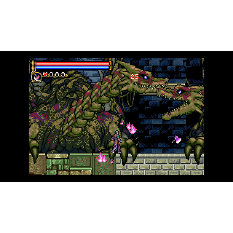 Nintendo Switch Castlevania Advance Collection | Datablitz