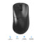 Pulsar Xlite V4 Ultralight Weight eSports Mouse Size 2 (White, Black) (PXL422, PXL421)