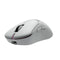 Pulsar ZywOo The Chosen Mouse eSports Gaming Mouse Mini (Black, White) (PZWX11, PZWX12)