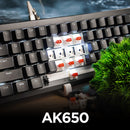Ajazz AK650 White Backlit Wired 66-Key Gasket-Mounted Hot-Swappable Mechanical Keyboard (Black)