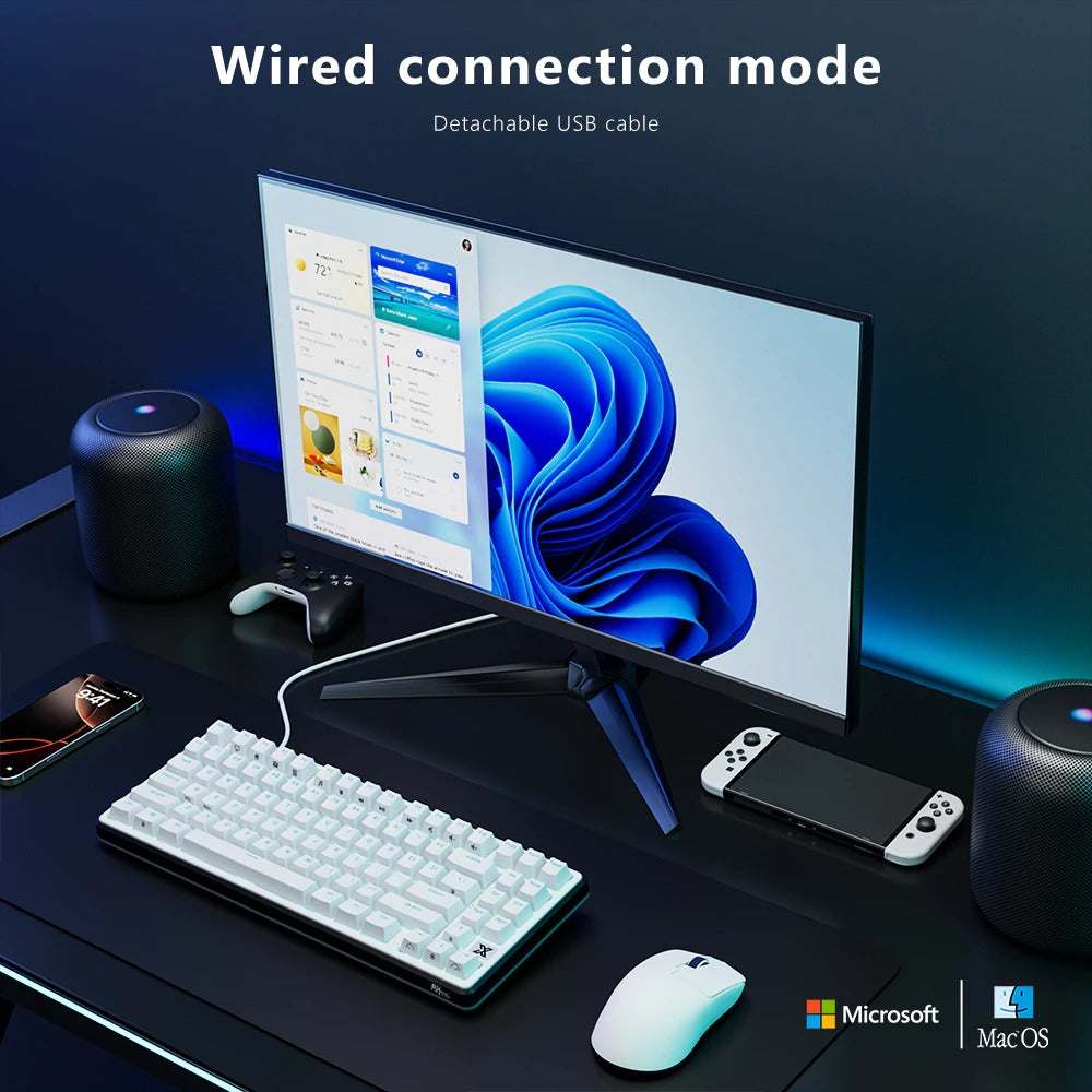 Royal Kludge RK X87 Single-Mode RGB Hot Swappable Mechanical Keyboard