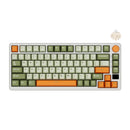 Royal Kludge RK-M75 Tri-Mode RGB 81 Keys Hot-Swappable