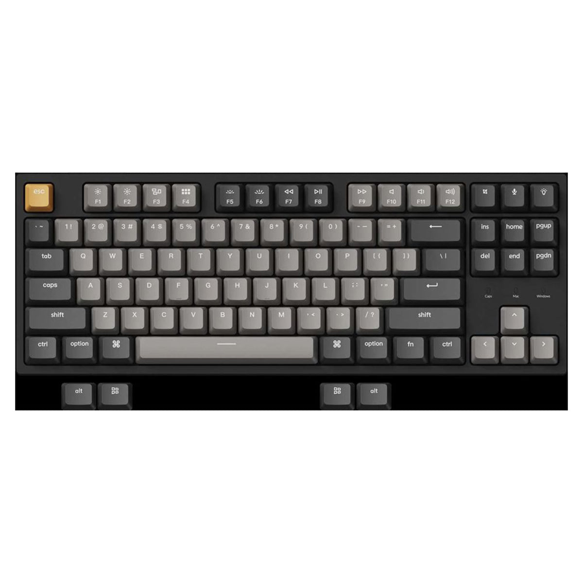 Keychron C1 Pro QMK/Via White Backlight TKL  Wired Mechanical Keyboard (K Pro Brown Switch) (C1P-A3)