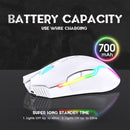 Onikuma CW905 RGB 3600 DPI Wireless E-Sports Gaming Mouse (White)