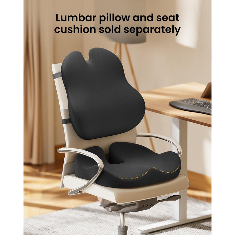 ProtoArc LP Butterfly Ergonomic Lumbar Pillow (Black) (CP016453)