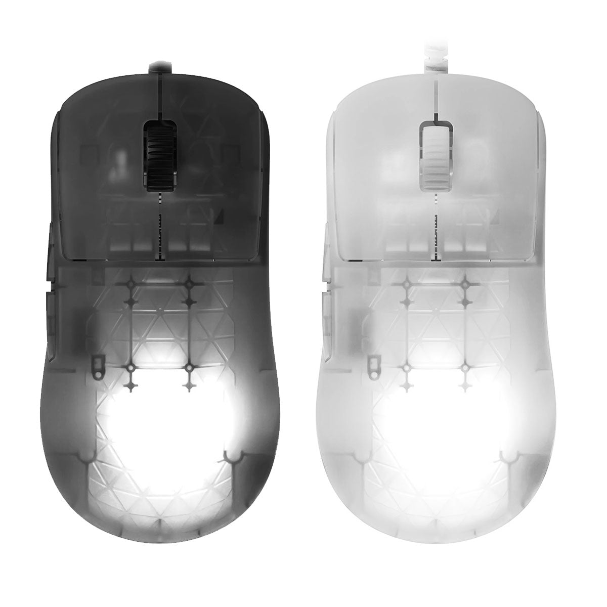 Endgame Gear OP1 RGB Wired Gaming Mouse