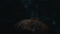 Dead Reset