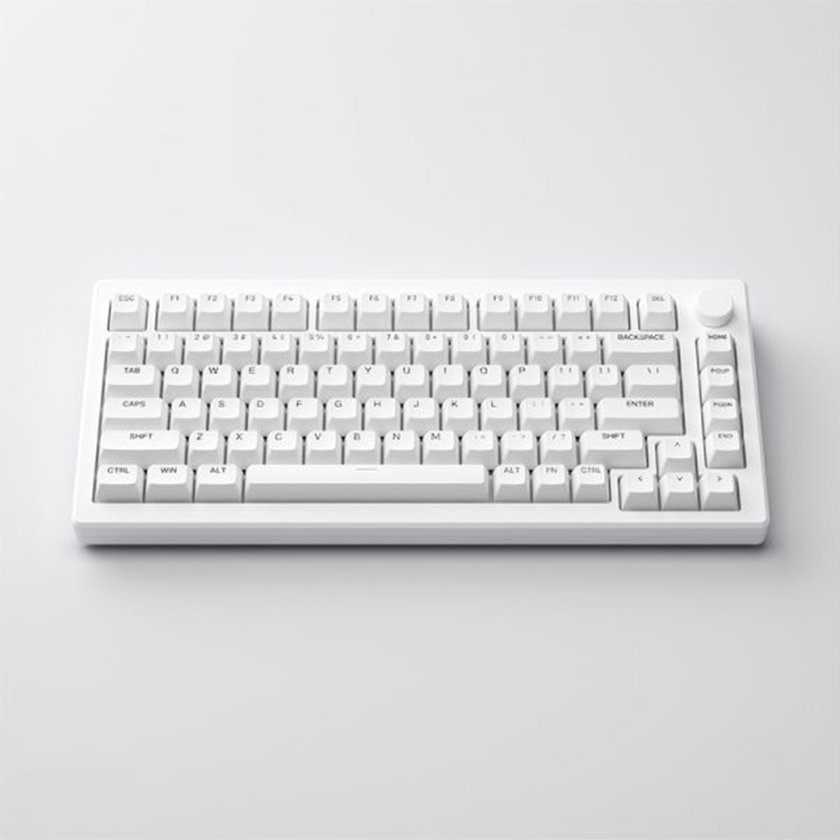Akko MOD 007B PC Shine-Through Multi-Mode RGB Hot-Swappable Mechanical Keyboard (Ice Cream Pink)