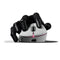 Pulsar ZywOo The Chosen Mouse eSports Gaming Mouse Mini (Black, White) (PZWX11, PZWX12)