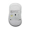 Pulsar ZywOo The Chosen Mouse eSports Gaming Mouse Mini (Black, White) (PZWX11, PZWX12)