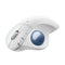 Logitech Ergo M575S Wireless Trackball Mouse (Black, White)