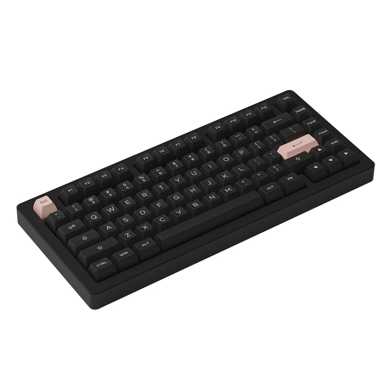 AKKO ACR Pro 75 Black Pre-Assembled Version RGB Mechanical Keyboard Hot-Swappable Gasket Mount (Akko Crystal) (Black-South Facing PCB)